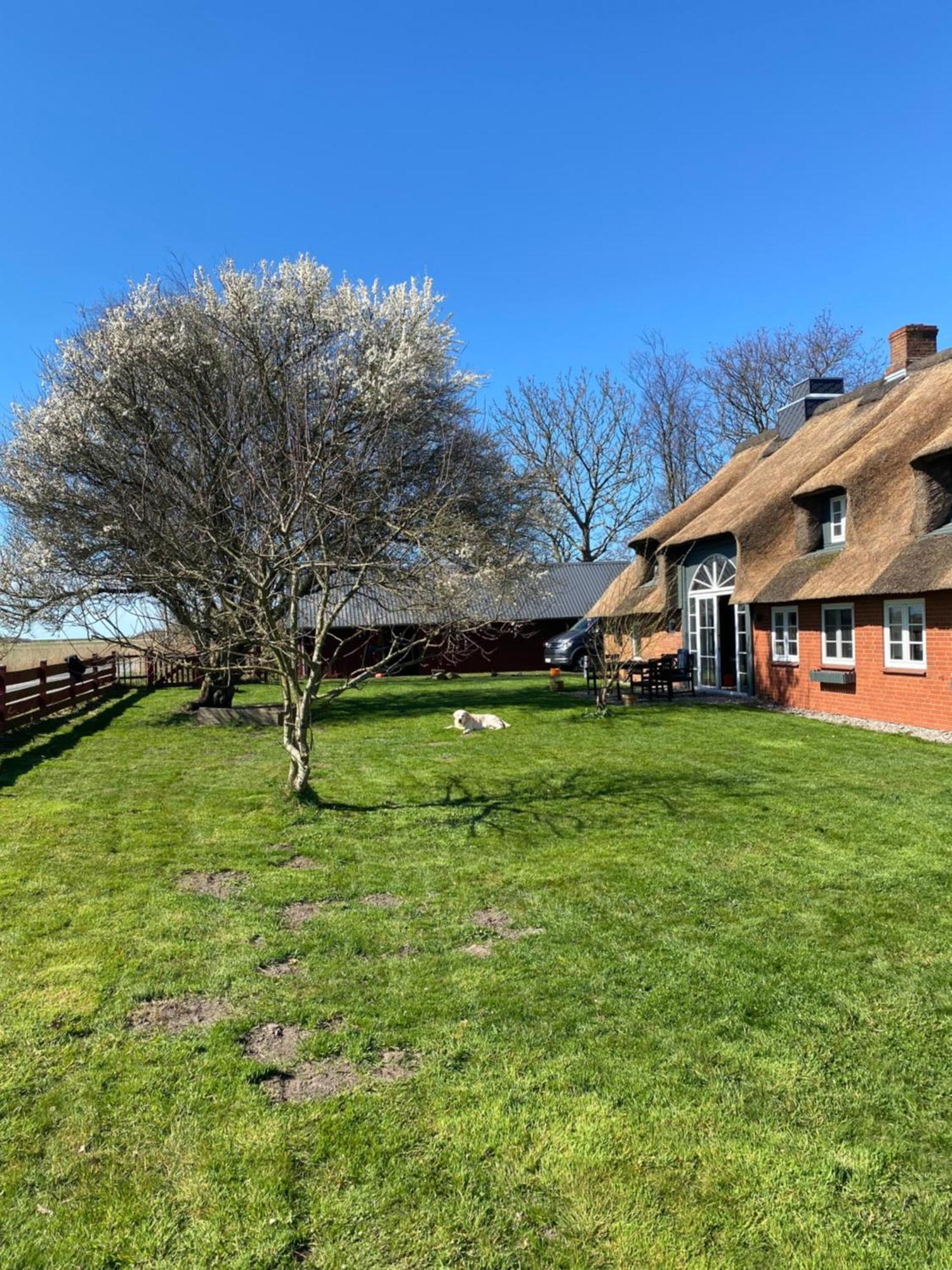 Brunos Haus Villa Emmelsbull-Horsbull Bagian luar foto